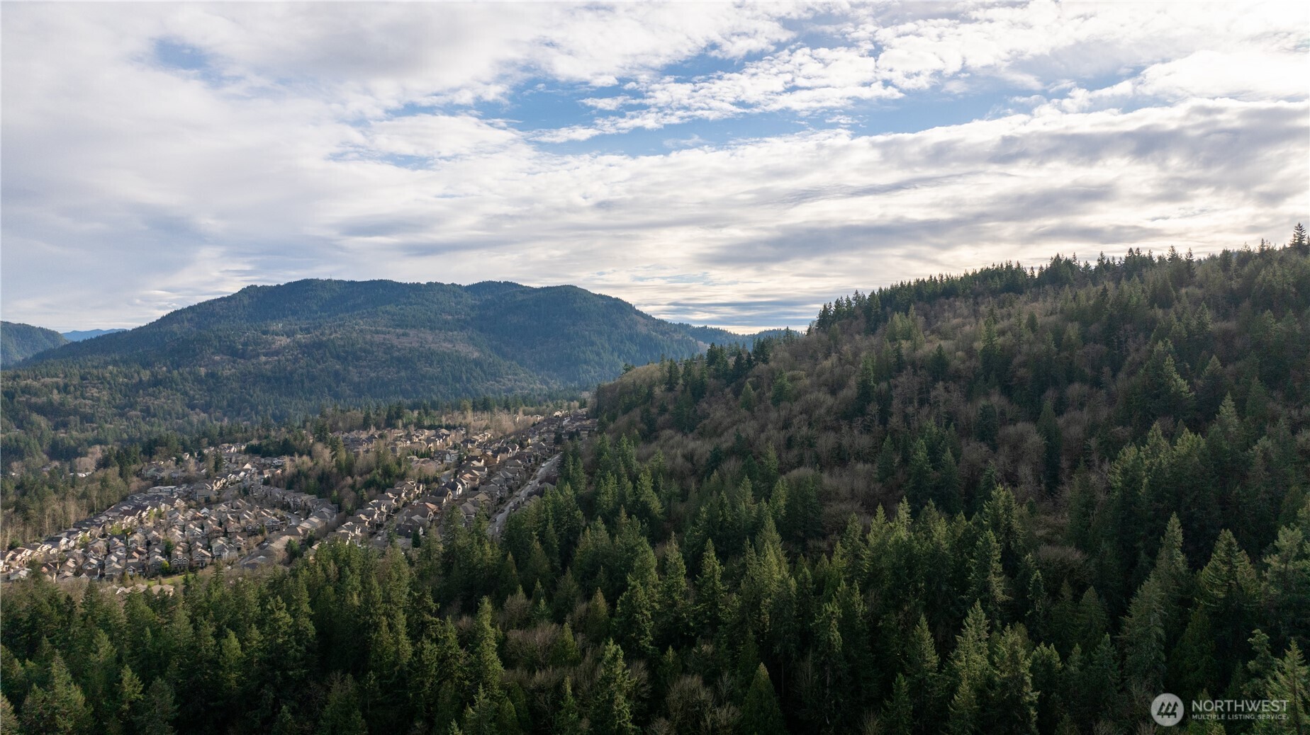 190-xx Southeast 66th Street Issaquah, WA 98027 - Photo 4 of 32 a view of a lush green field with mountains in the background