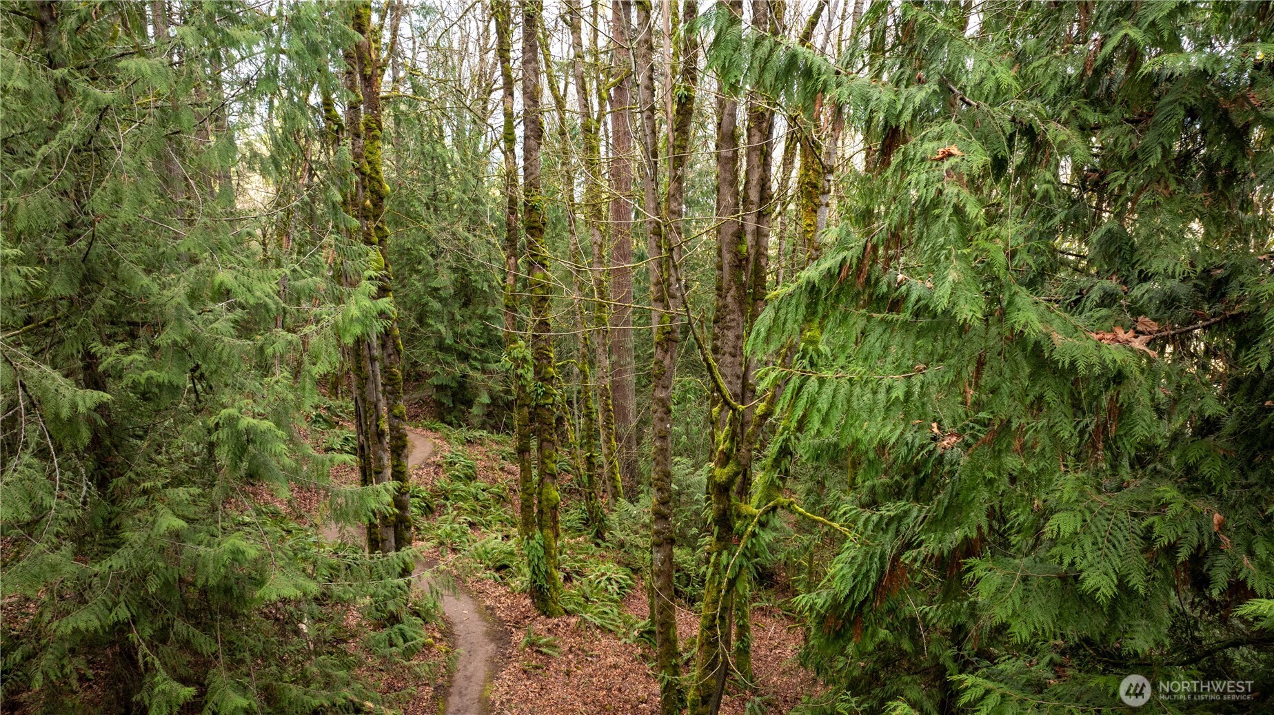 190-xx Southeast 66th Street Issaquah, WA 98027 - Photo 5 of 32