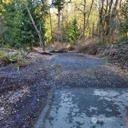 190-xx Southeast 66th Street Issaquah, WA 98027 - Photo 8 of 32 a view of a yard with large trees