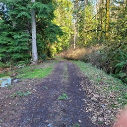 190-xx Southeast 66th Street Issaquah, WA 98027 - Photo 9 of 32 a view of a forest with trees
