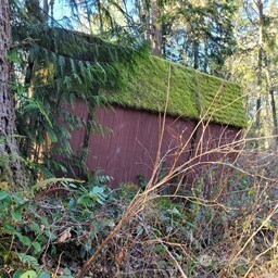 190-xx Southeast 66th Street Issaquah, WA 98027 - Photo 10 of 32 a view of a backyard