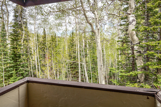 102 Alpine Court, Unit B5 Brian Head, UT 84719 - Photo 19 of 28