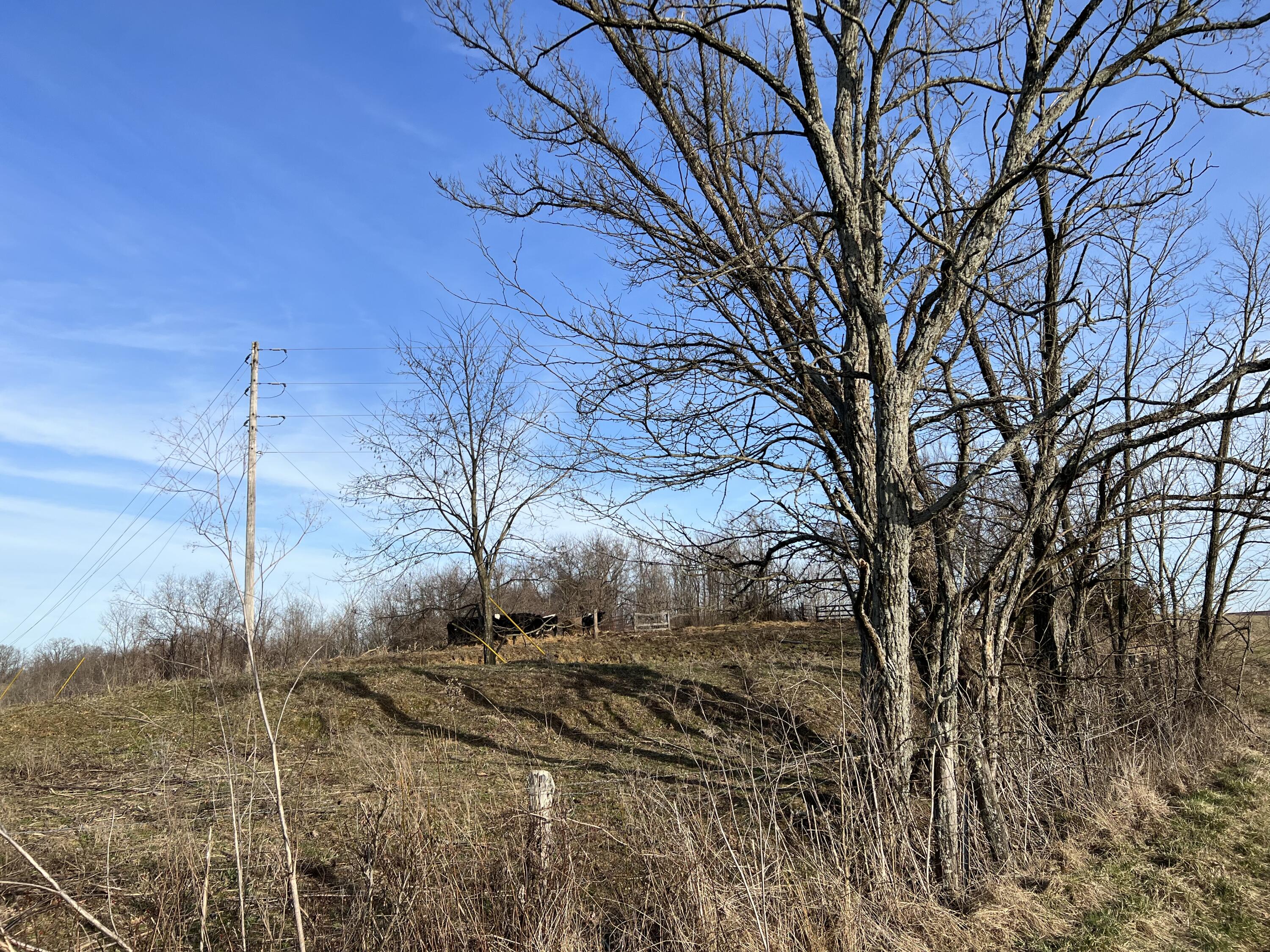 0 Elizaville Road Ewing, KY 41039 - Photo 8 of 11 484F45FE-6C99-46BF-96D1-D69AEF57E08F