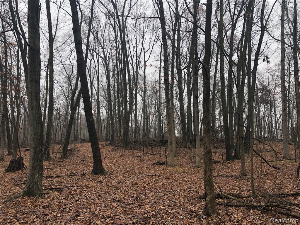 Parcel 12 Elevation Lane Howell, MI 48855 - Photo 6 of 11