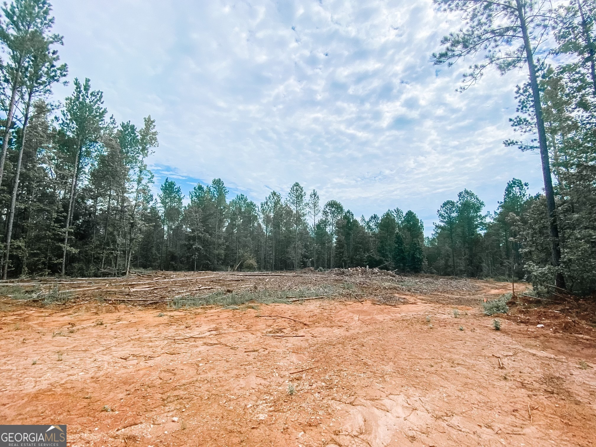 0 Weaver Jones Road Rutledge, GA 30663 - Photo 2 of 6 a view of a dry yard with trees