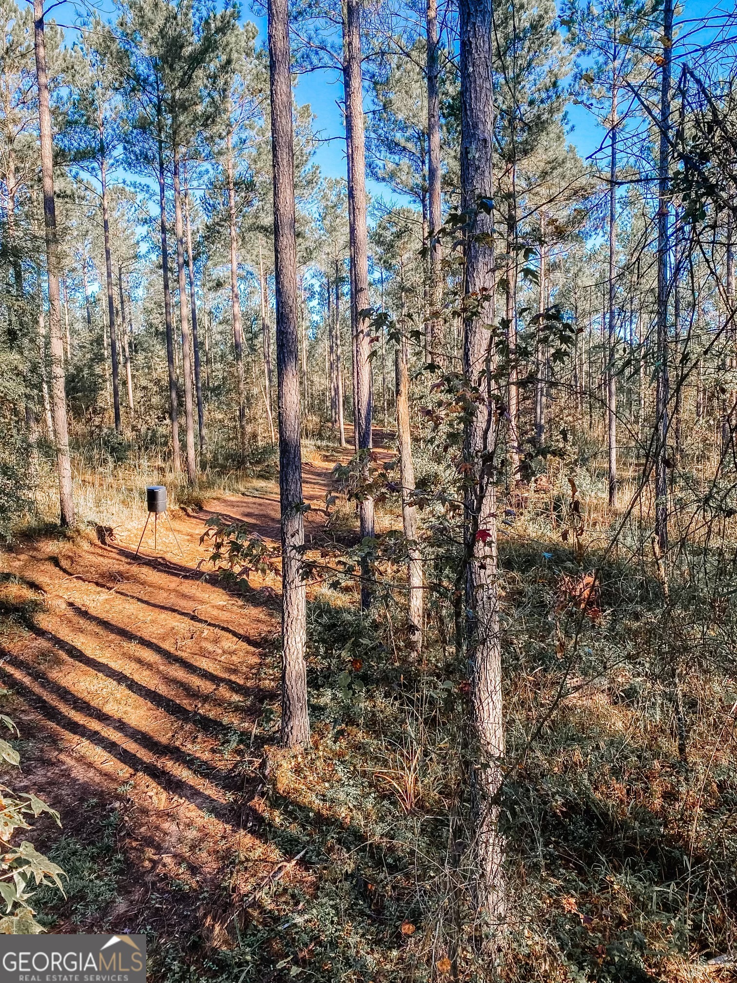 0 Weaver Jones Road Rutledge, GA 30663 - Photo 3 of 6 a view of a pathway with a yard