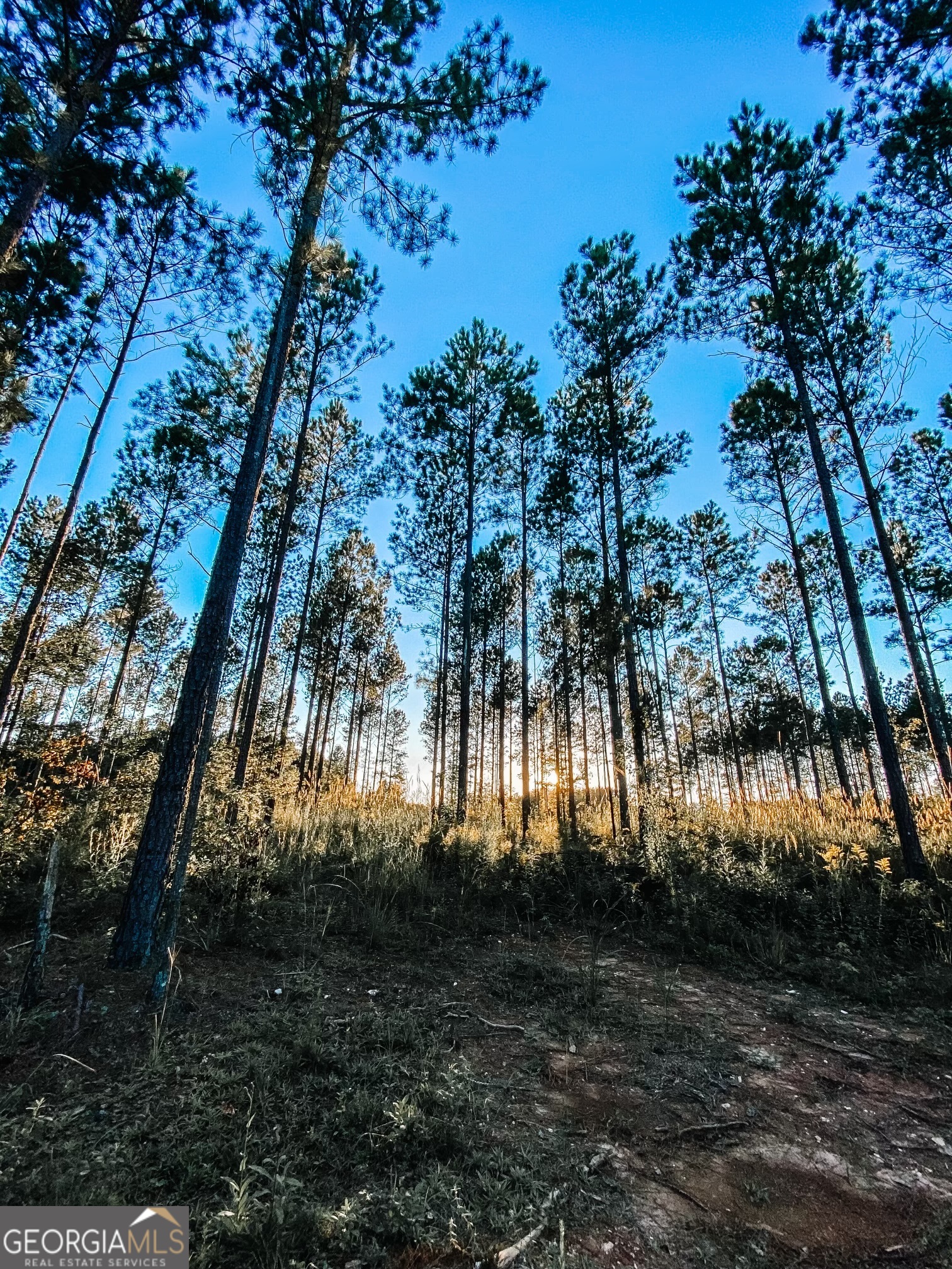 0 Weaver Jones Road Rutledge, GA 30663 - Photo 4 of 6 a view of lake