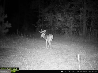 0 Weaver Jones Road Rutledge, GA 30663 - Photo 5 of 6 a picture of a room with a yard