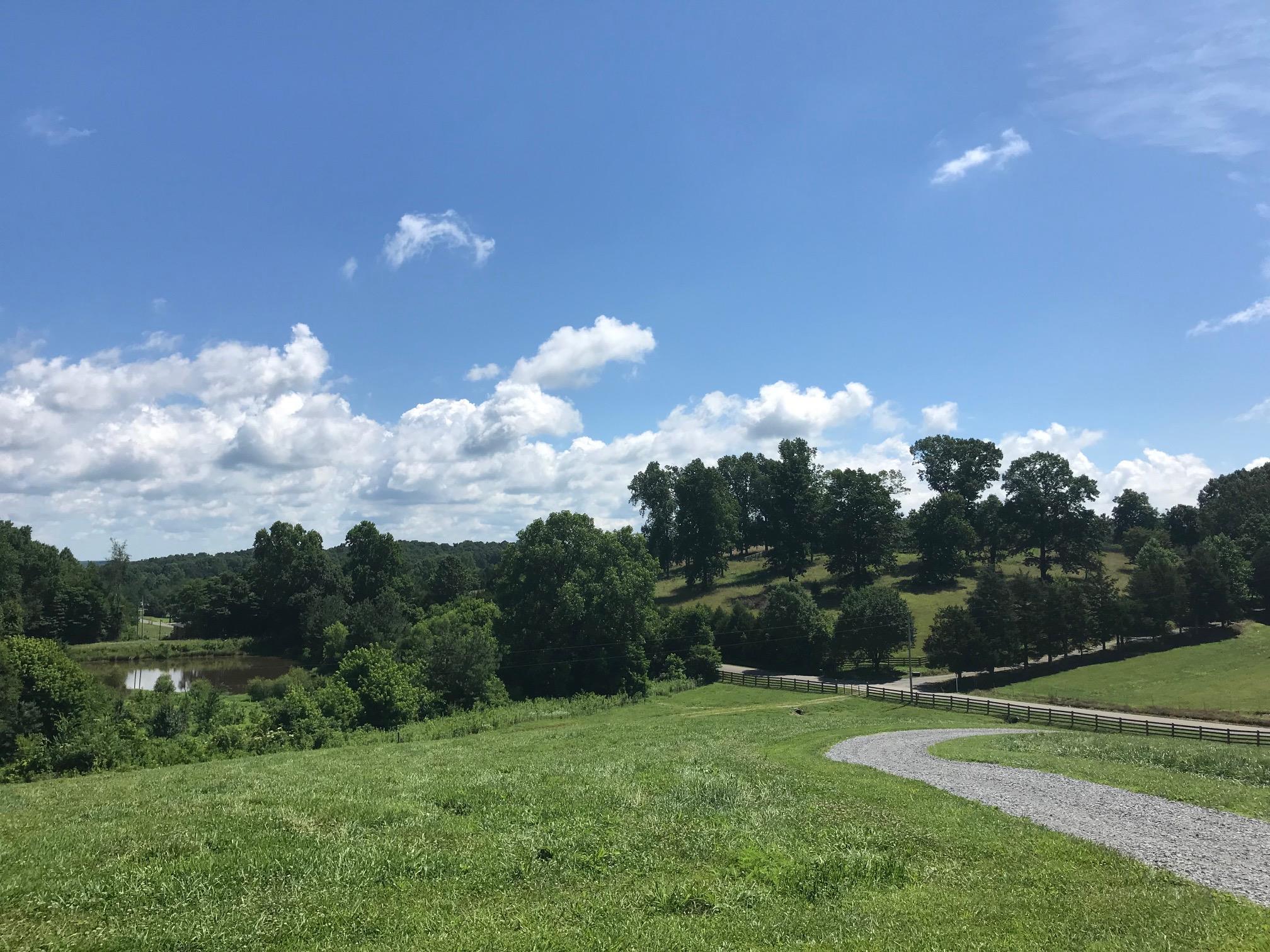 521 Wilson Hollow Road Dickson, TN 37055 - Photo 2 of 26 View from front porch.