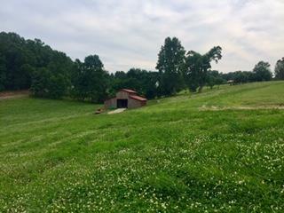 521 Wilson Hollow Road Dickson, TN 37055 - Photo 21 of 26 Gallery Image 21
