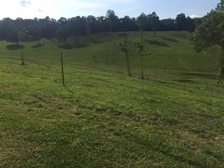 521 Wilson Hollow Road Dickson, TN 37055 - Photo 24 of 26 Gallery Image 24