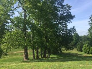 521 Wilson Hollow Road Dickson, TN 37055 - Photo 25 of 26 Gallery Image 25