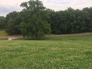 521 Wilson Hollow Road Dickson, TN 37055 - Photo 26 of 26 Gallery Image 26
