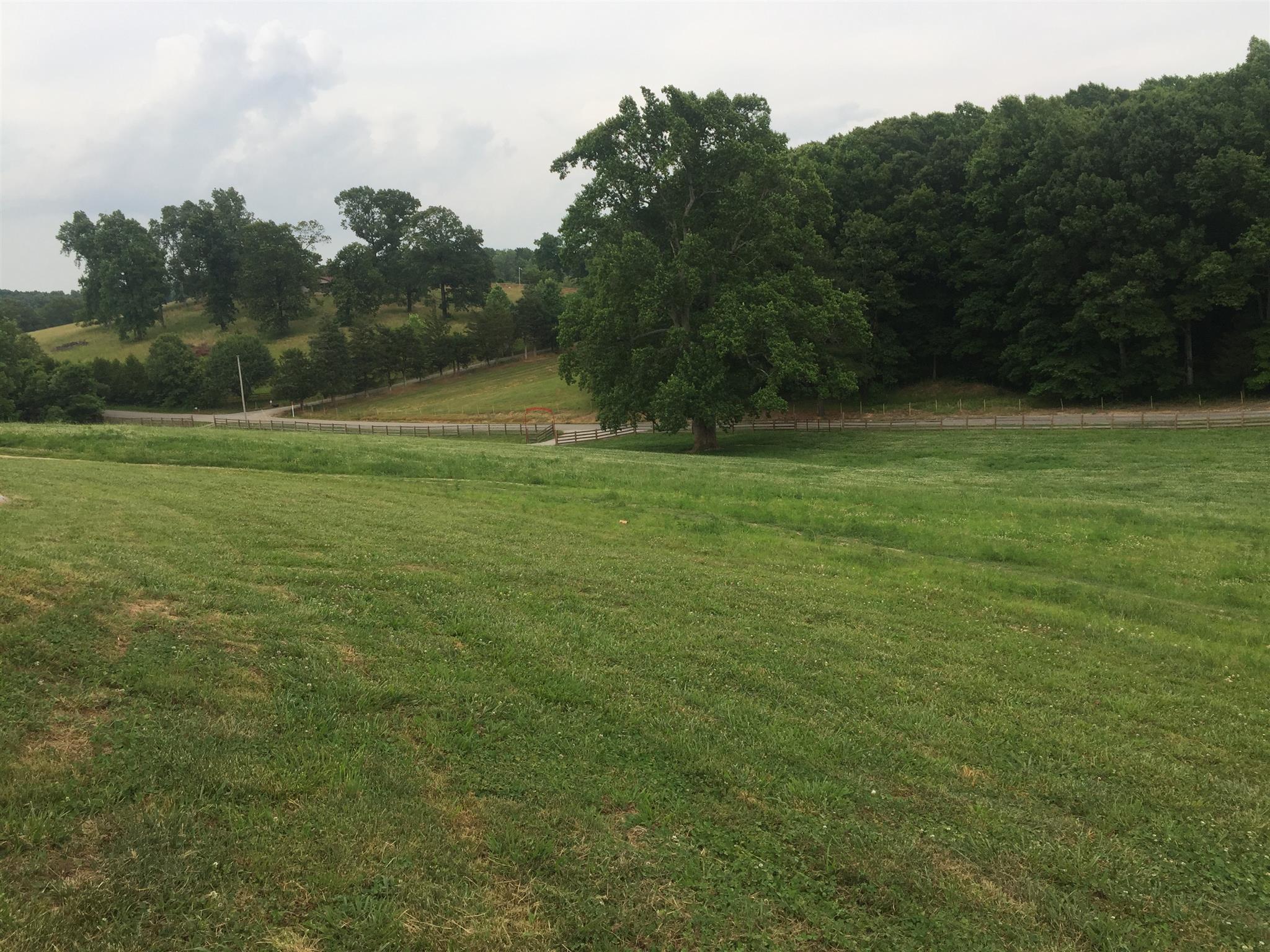 521 Wilson Hollow Road Dickson, TN 37055 - Photo 4 of 26 Gallery Image 4