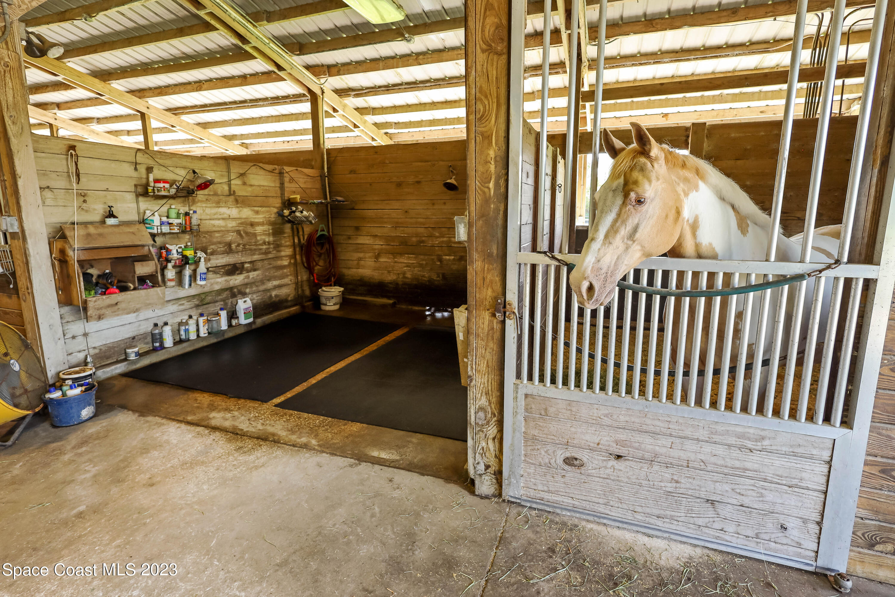 665 Grant Road Palm Bay, FL 32909 - Photo 23 of 29 4Q9A9612