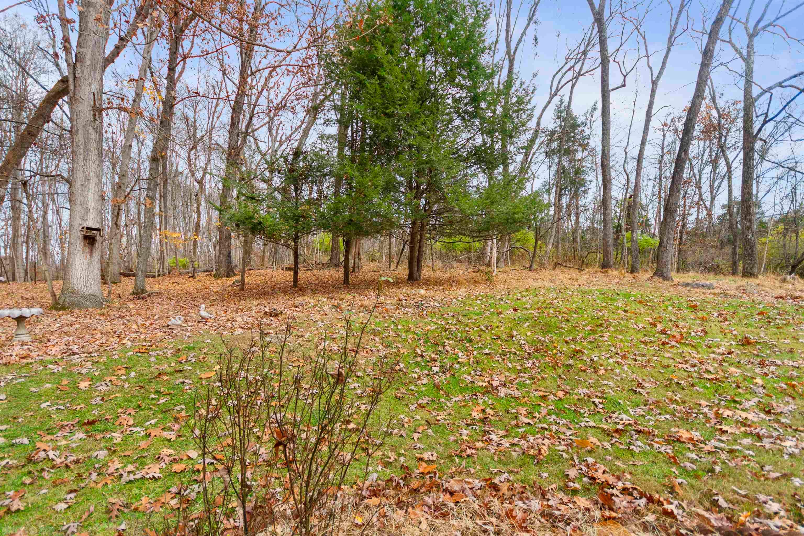 7388 River Bluff Road Radford, VA 24141 - Photo 30 of 34 Gallery Image 30