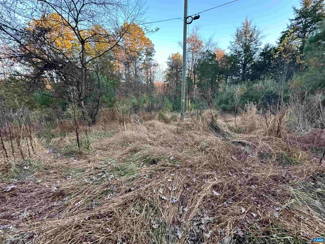 a big yard with lots of green space
