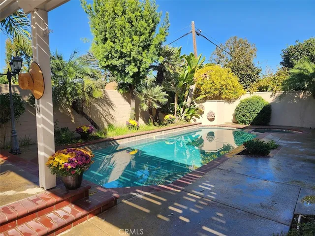 a view of a backyard with a garden and plants
