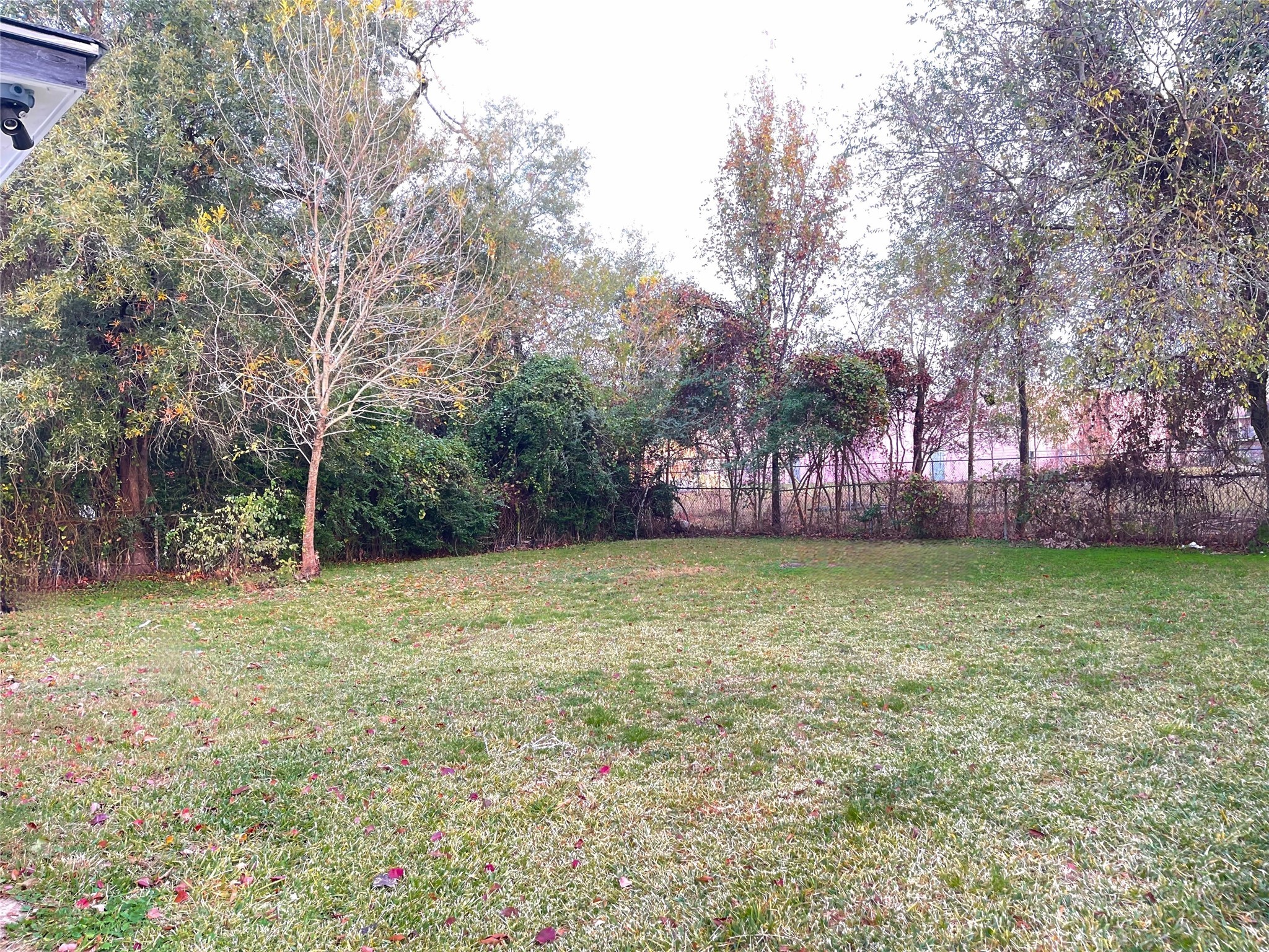 8710 Caddo Road Houston, TX 77078 - Photo 15 of 15 Huge Backyard!