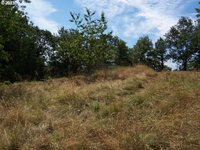 Southwest 7th Circle Camas, WA 98607 - Photo 3 of 3 Gallery Image 3