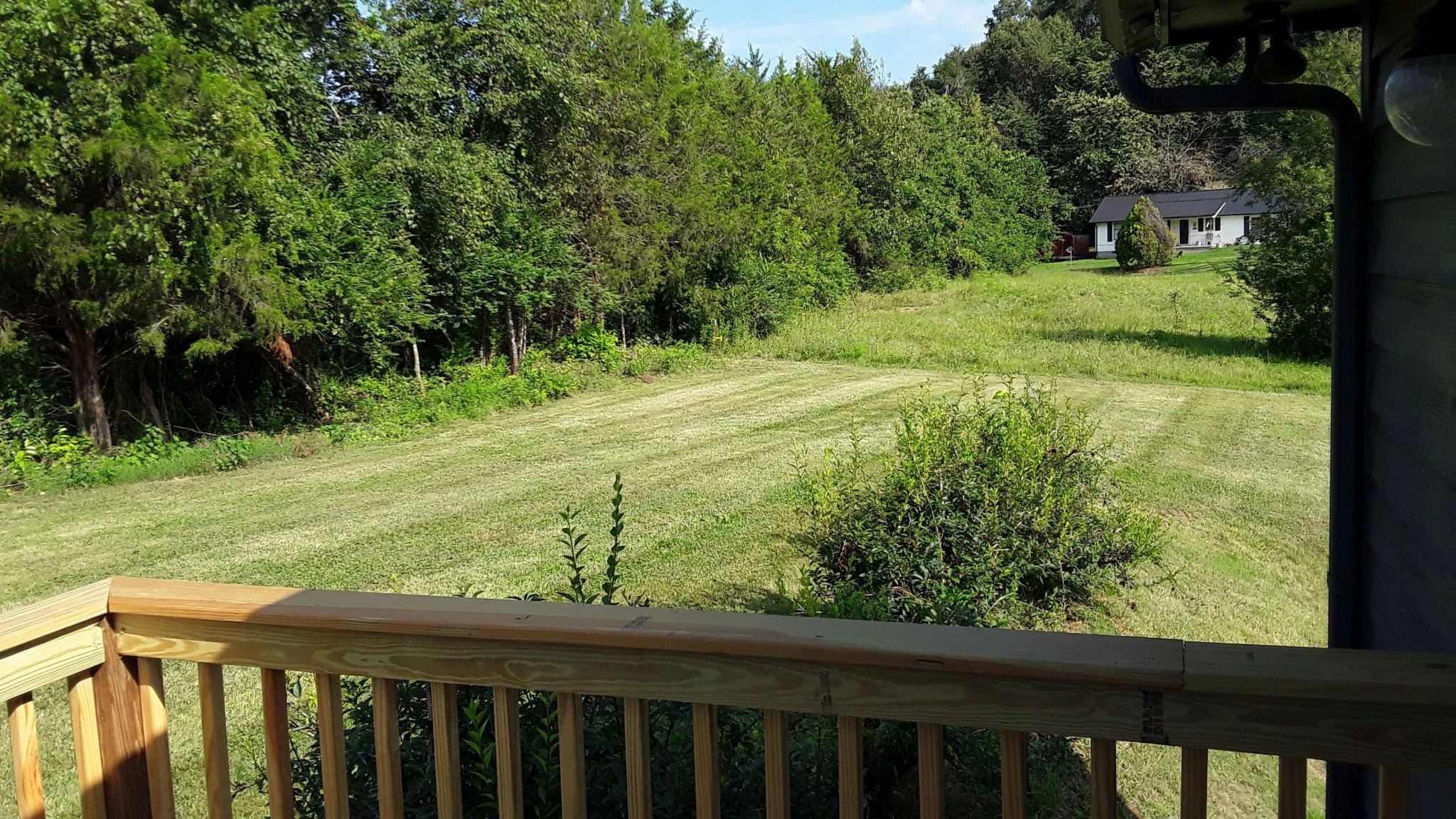 129 Rosedale Avenue Rutledge, TN 37861 - Photo 27 of 34 a view of a yard with a trees