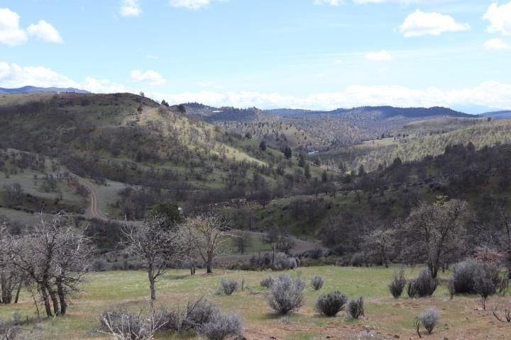 6930 Copco Road Hornbrook, CA 96044 - Photo 9 of 27 Gallery Image 9
