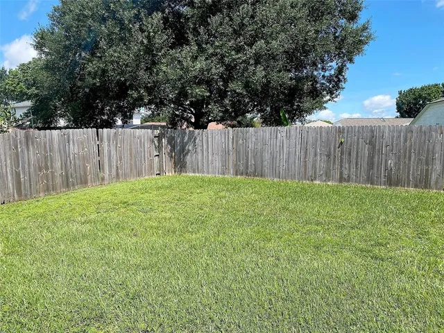 a view of backyard with tree