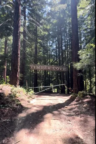 a view of road and trees