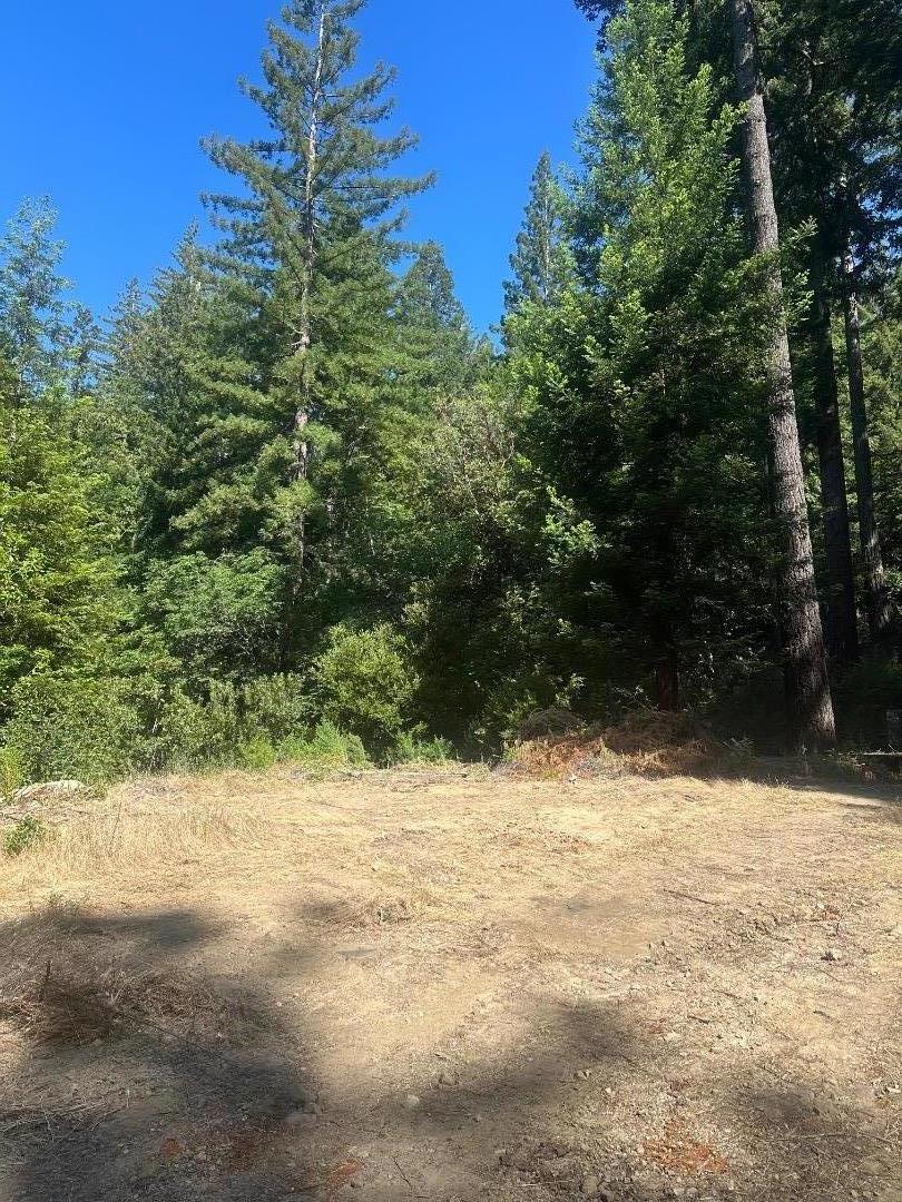320 Timber Cove Boulder Creek, CA 95006 - Photo 15 of 17 a view of a yard covered in snow