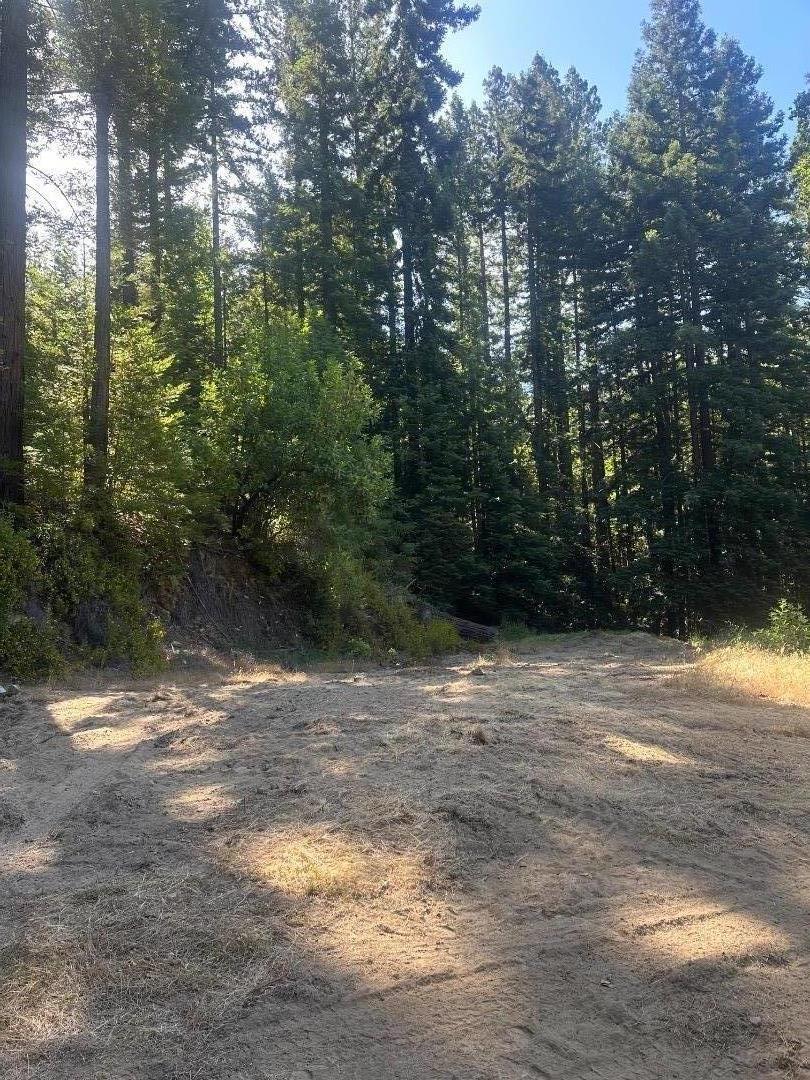 320 Timber Cove Boulder Creek, CA 95006 - Photo 16 of 17 a view of outdoor space with trees all around