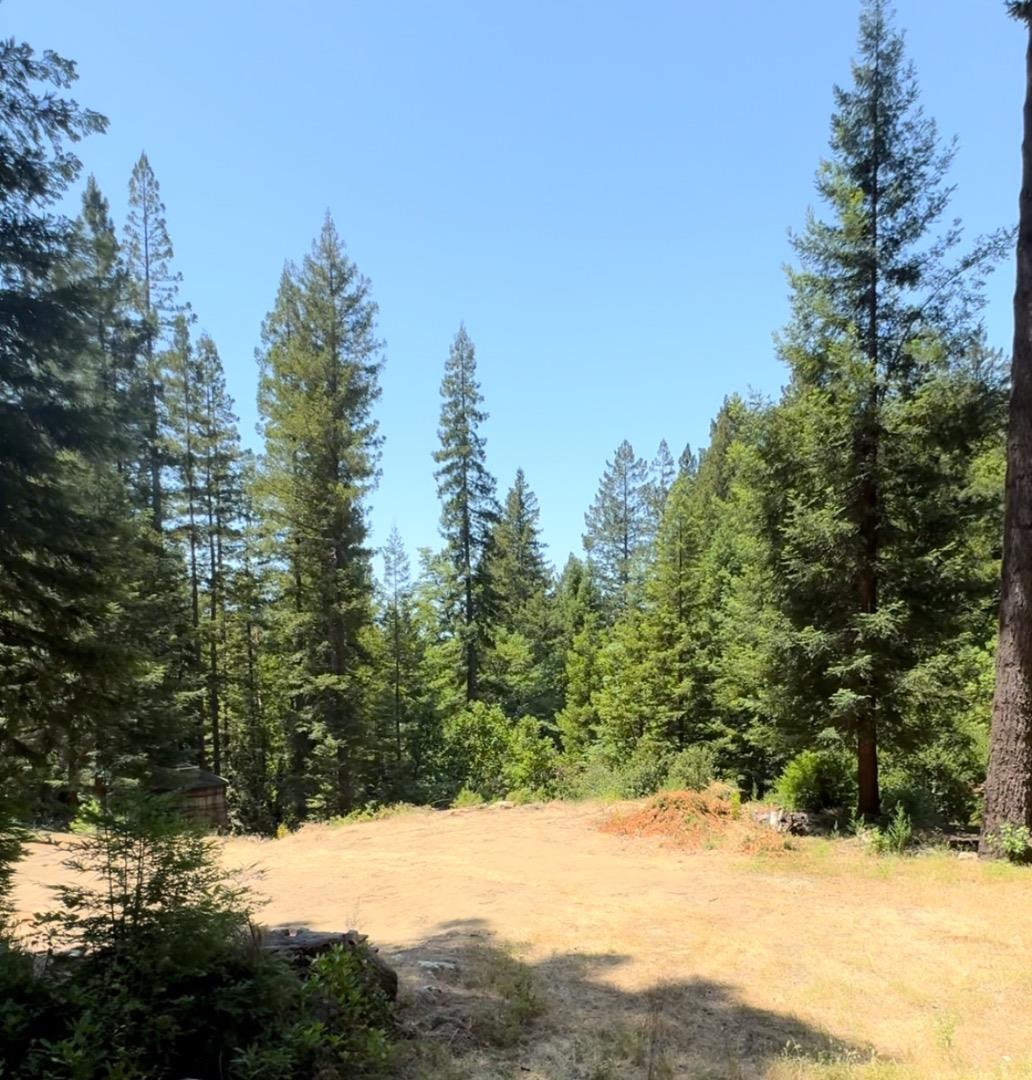 320 Timber Cove Boulder Creek, CA 95006 - Photo 17 of 17 a view of a yard covered in snow