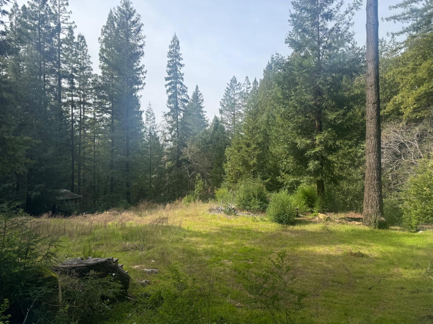 320 Timber Cove Boulder Creek, CA 95006 - Photo 2 of 17 a view of outdoor space and yard