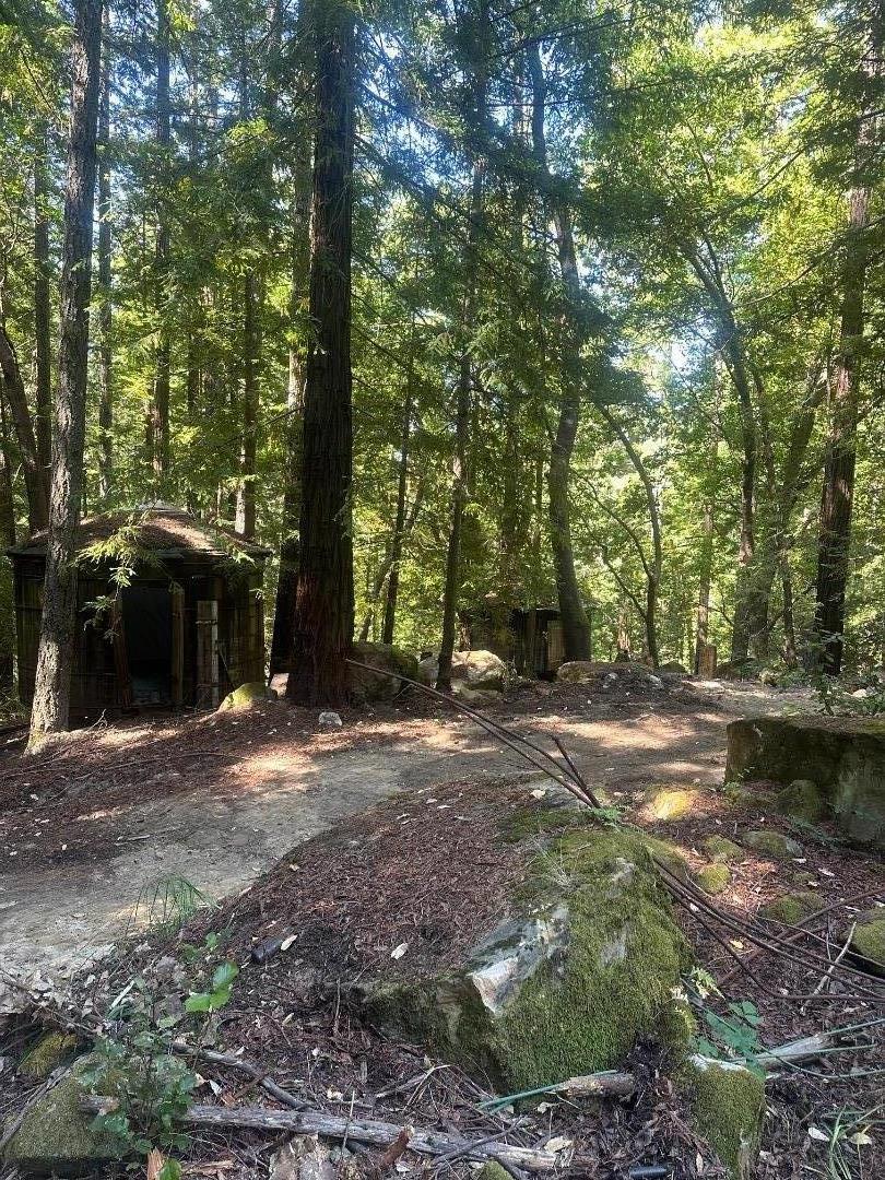 320 Timber Cove Boulder Creek, CA 95006 - Photo 5 of 17 a view of outdoor space with trees