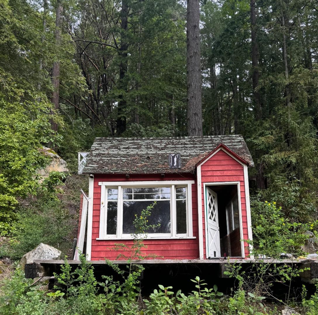 320 Timber Cove Boulder Creek, CA 95006 - Photo 10 of 17 a view of a house with a yard and potted plants