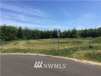 511 Woodside Road Cosmopolis, WA 98537 - Photo 1 of 2 Gallery Image 1