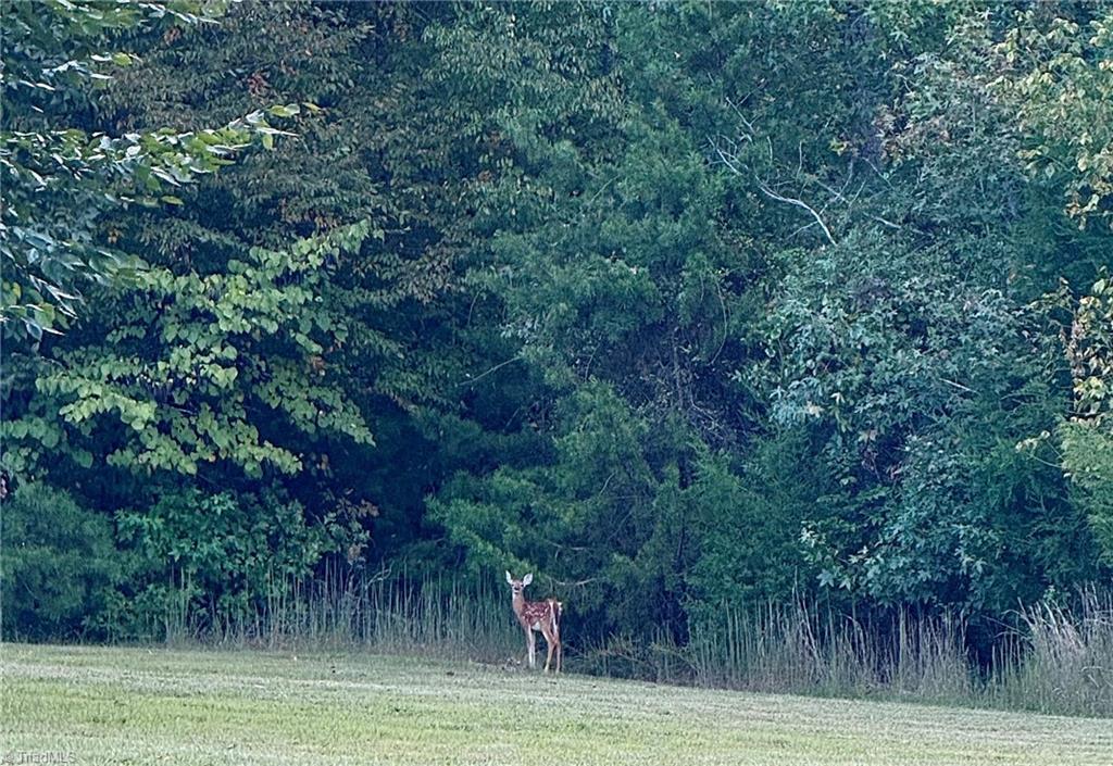 690 Snead Road Stoneville, NC 27048 - Photo 47 of 48