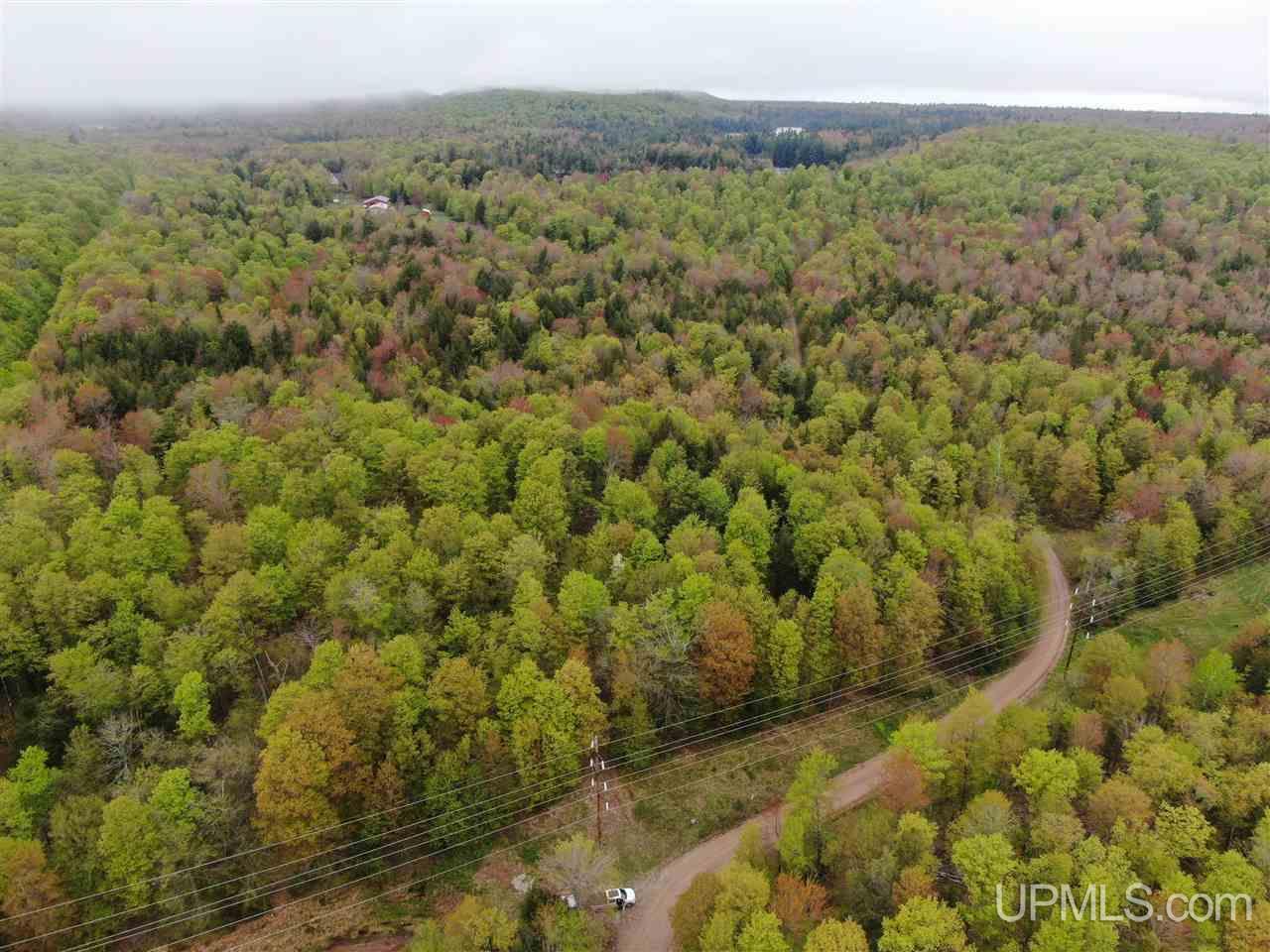 0 County Road 577 Road, Unit ANNA RIVER RDP Munising, MI 49862 - Photo 10 of 26