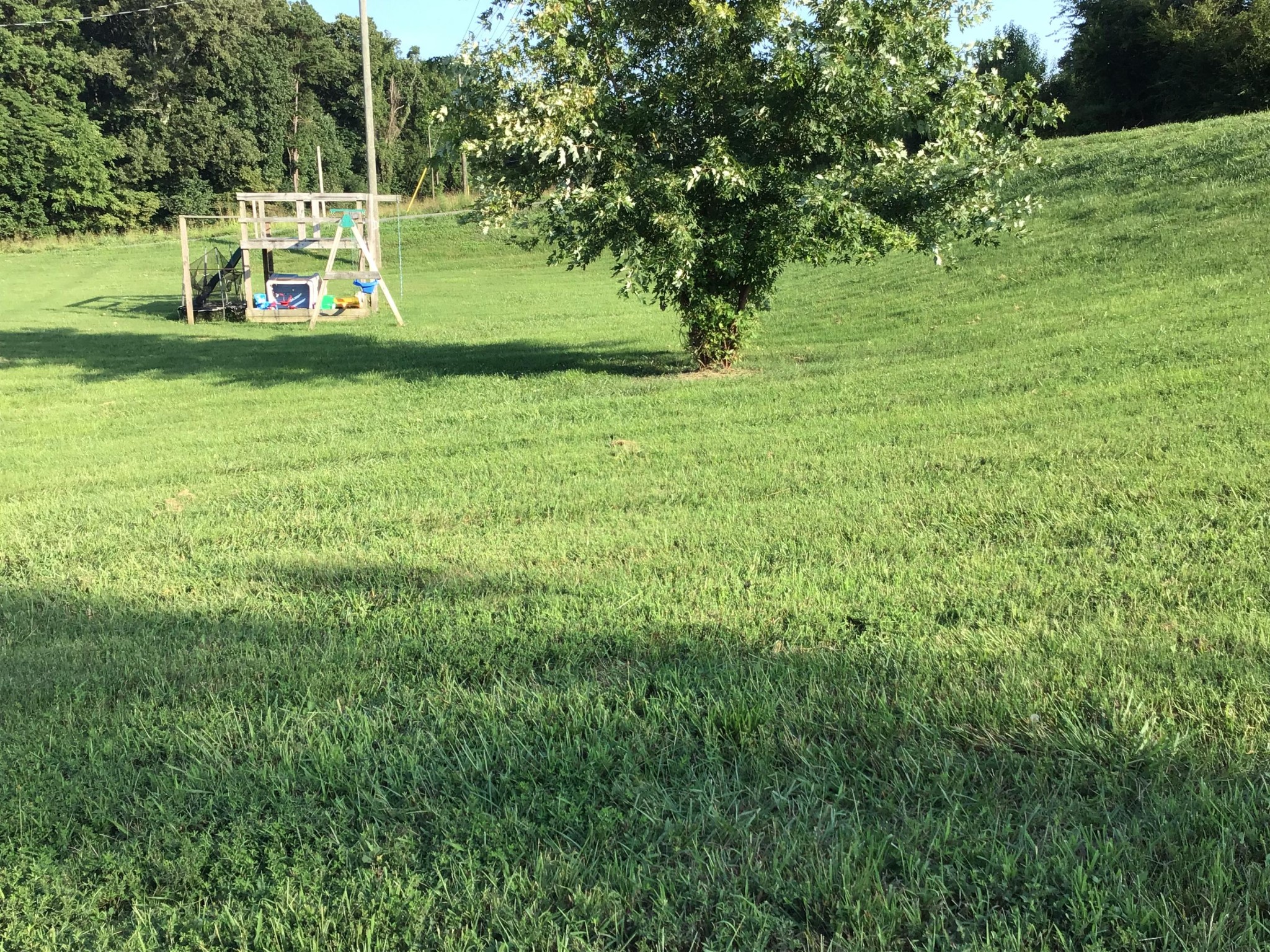1604 Tilley Road Talbott, TN 37877 - Photo 29 of 31 a view of a park with a bench and trees