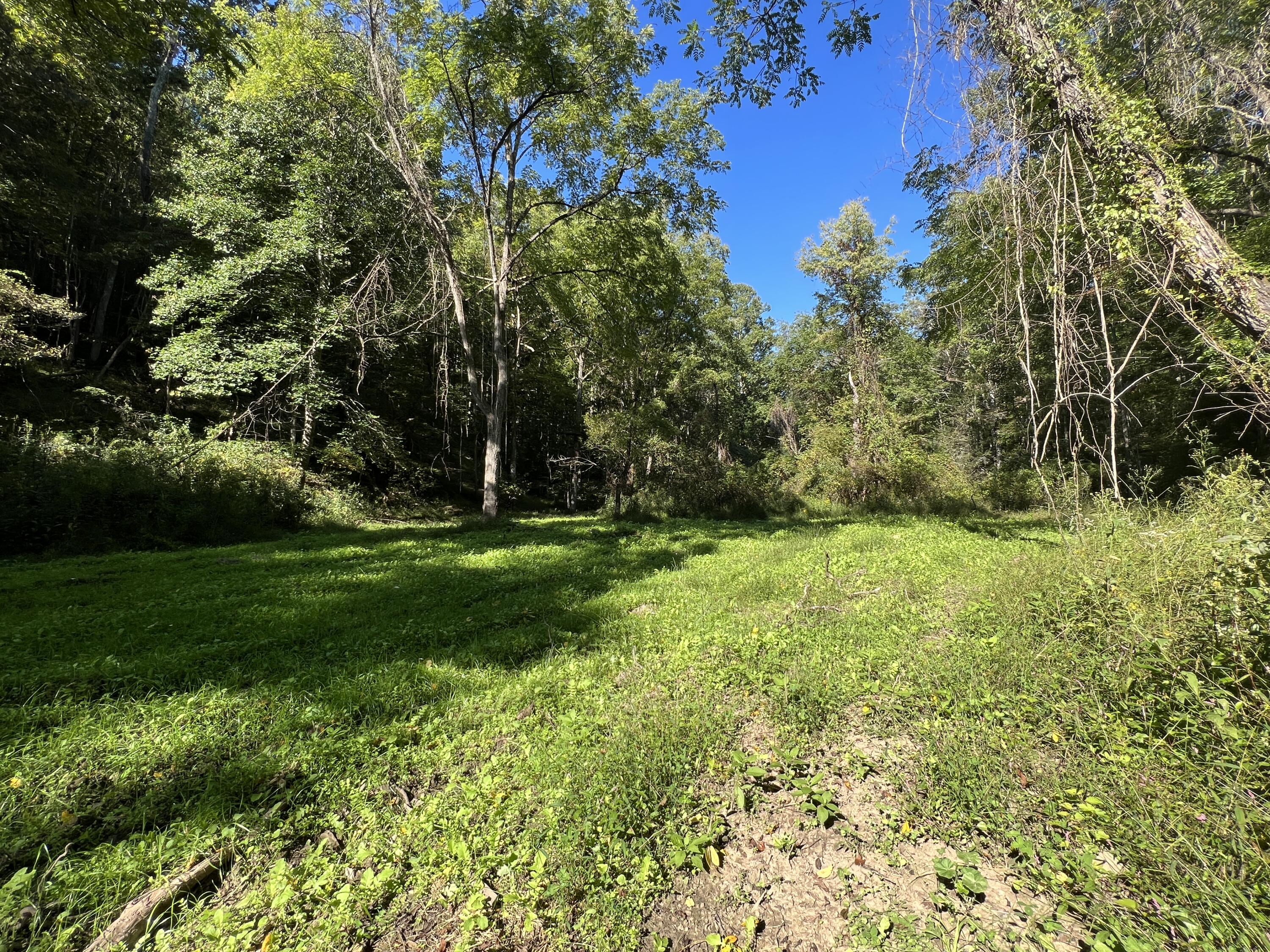 0 Haynes Road Pulaski, VA 24301 - Photo 12 of 26 PUL 12