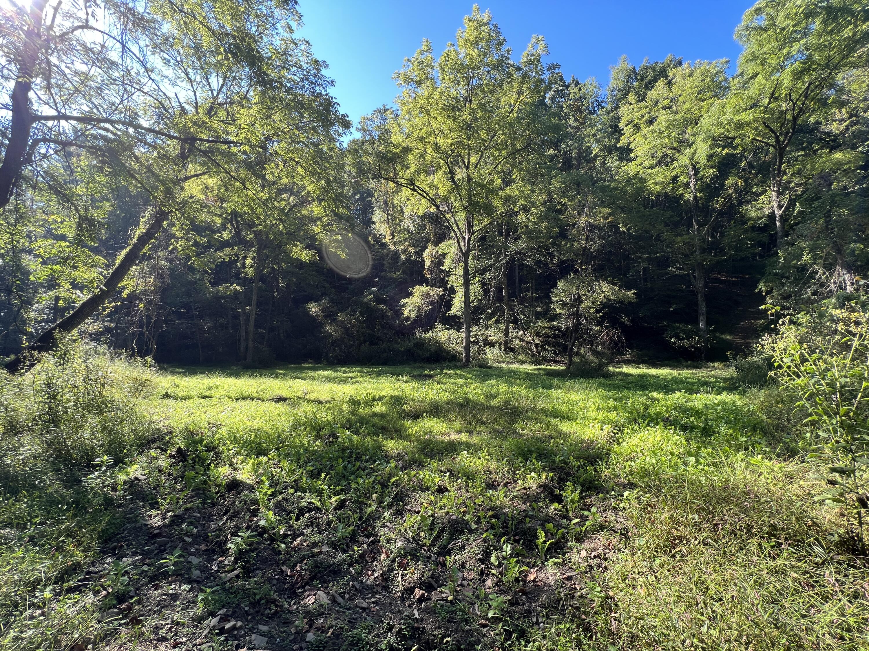 0 Haynes Road Pulaski, VA 24301 - Photo 14 of 26 PUL 14