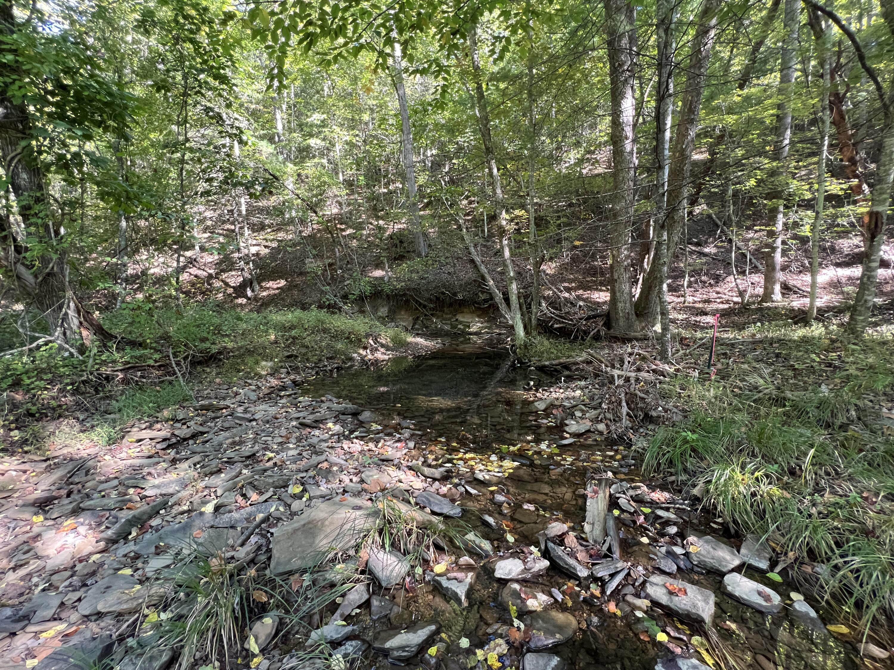 0 Haynes Road Pulaski, VA 24301 - Photo 16 of 26 PUL 16
