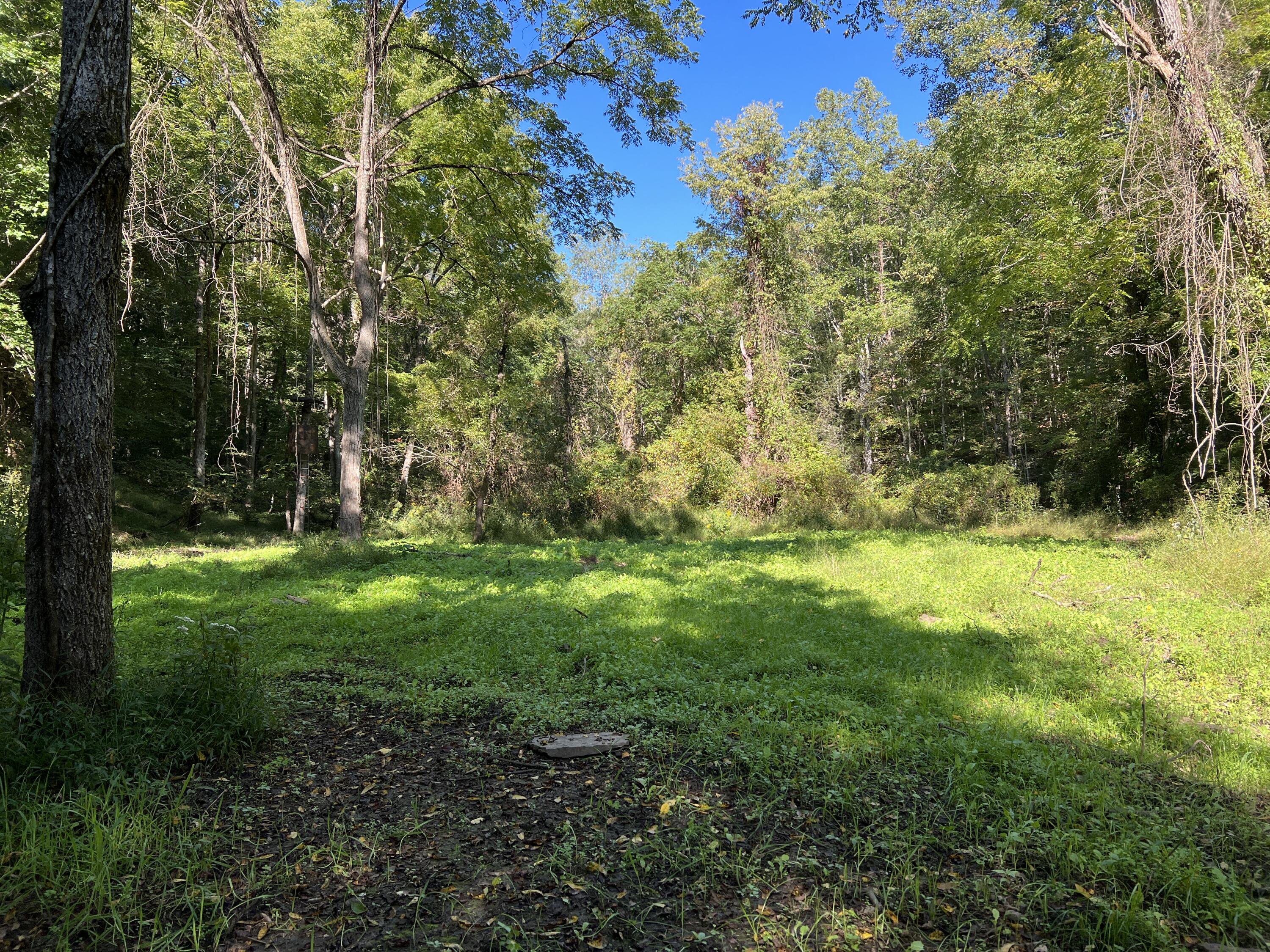0 Haynes Road Pulaski, VA 24301 - Photo 20 of 26 PUL 20