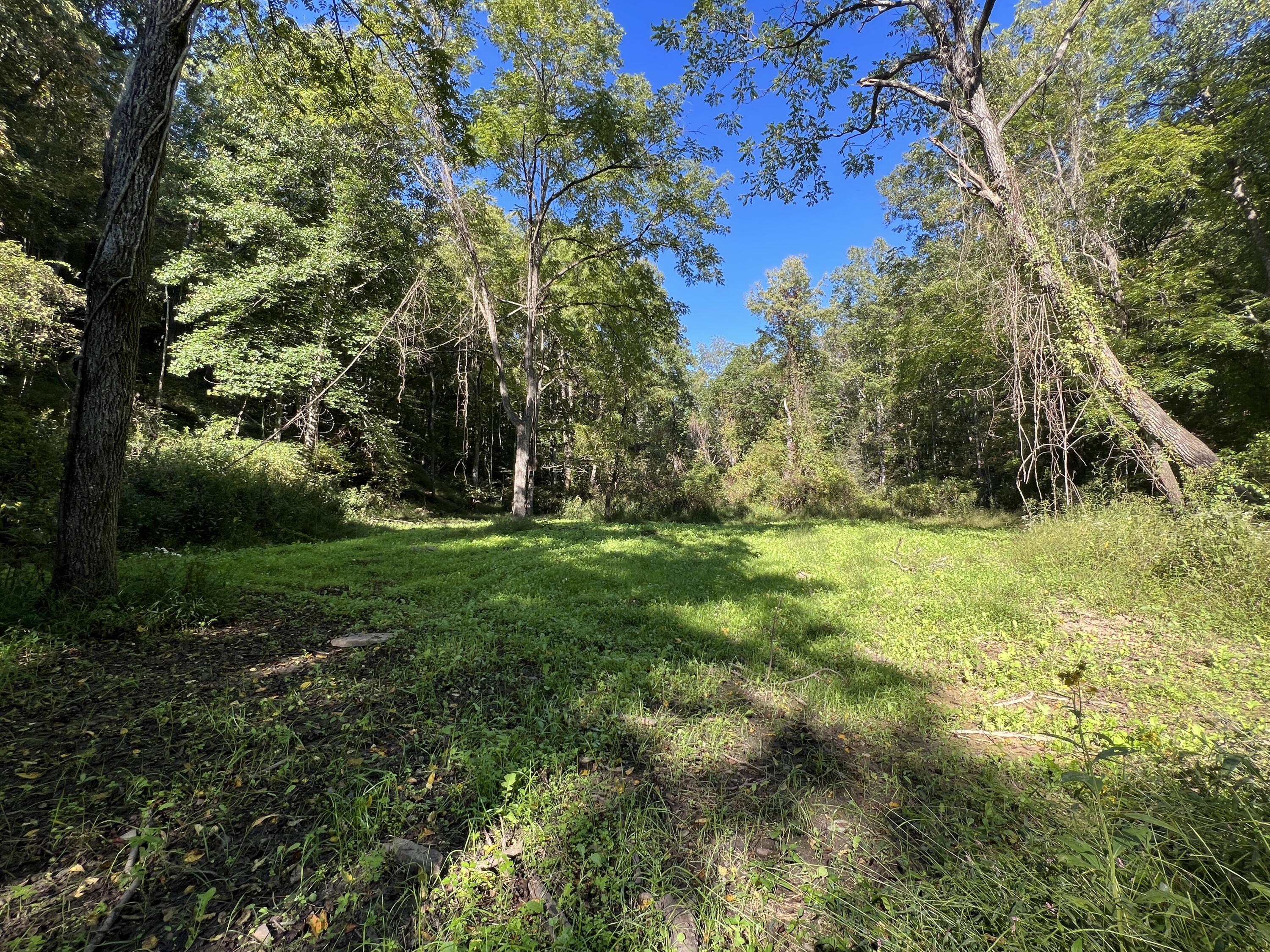 0 Haynes Road Pulaski, VA 24301 - Photo 10 of 26 PUL 10