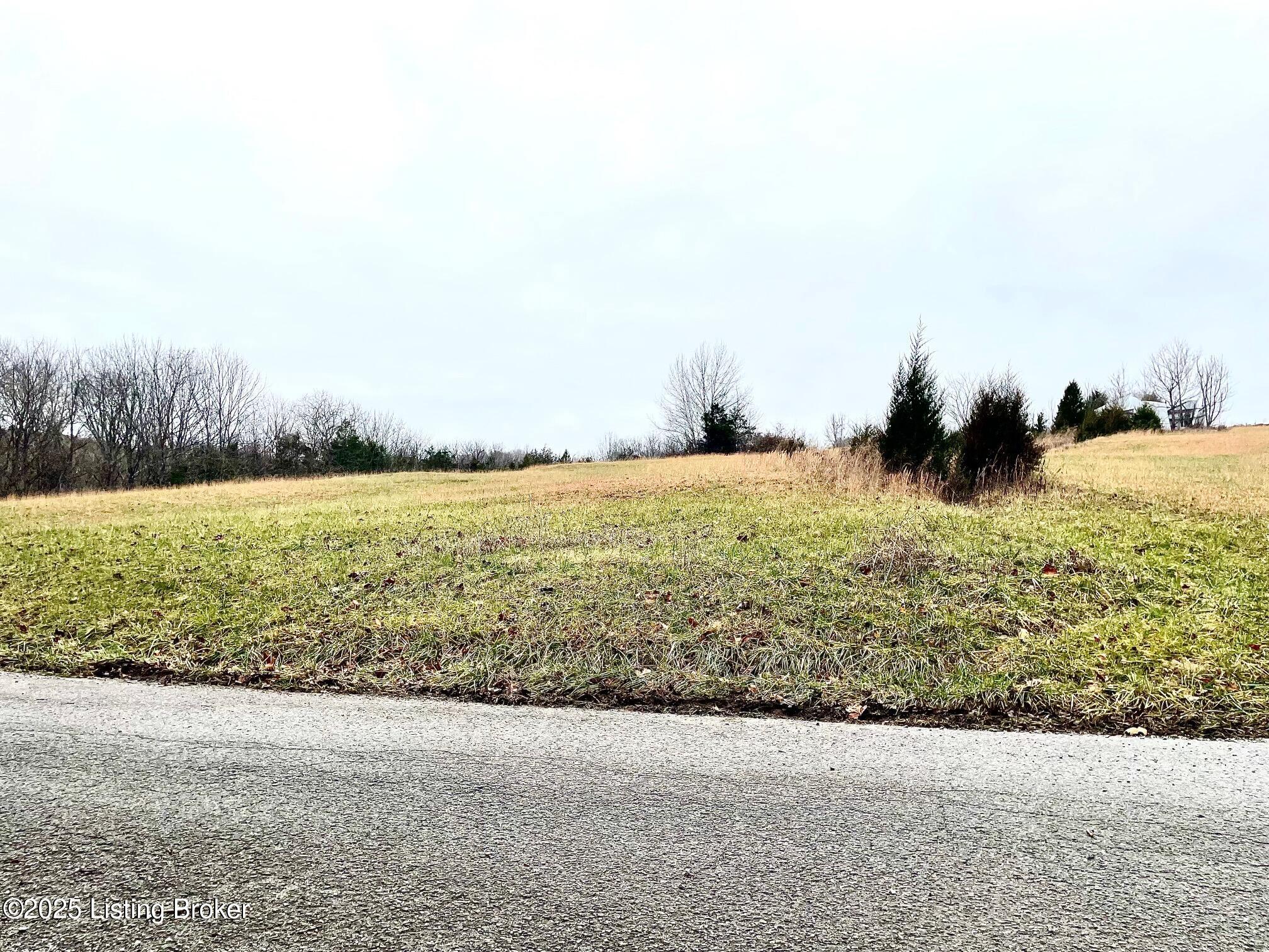 5 Timber Creek Road Bloomfield, KY 40008 - Photo 11 of 16 TC 5 Acres_Road