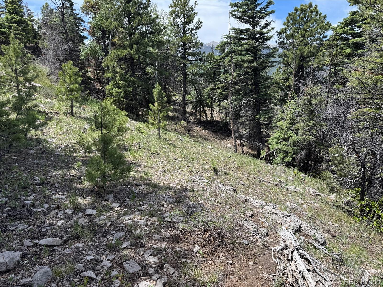 Knotty Pine Road Salida, CO 81201 - Photo 22 of 42 Gallery Image 22