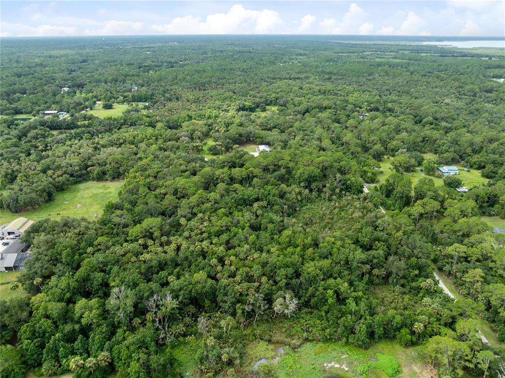 2750 Perch Road Geneva, FL 32732 - Photo 12 of 16