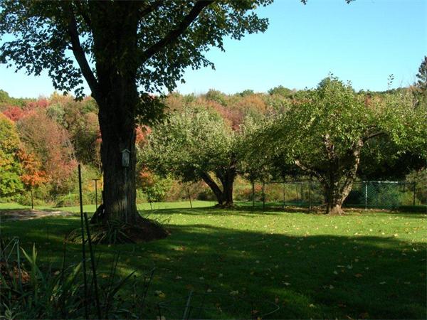111 Scully Road Somers, CT 06071 - Photo 25 of 26 a view of a trees with a yard