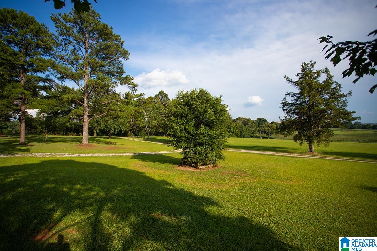 16003 Montevallo Road Brierfield, AL 35035 - Photo 49 of 55
