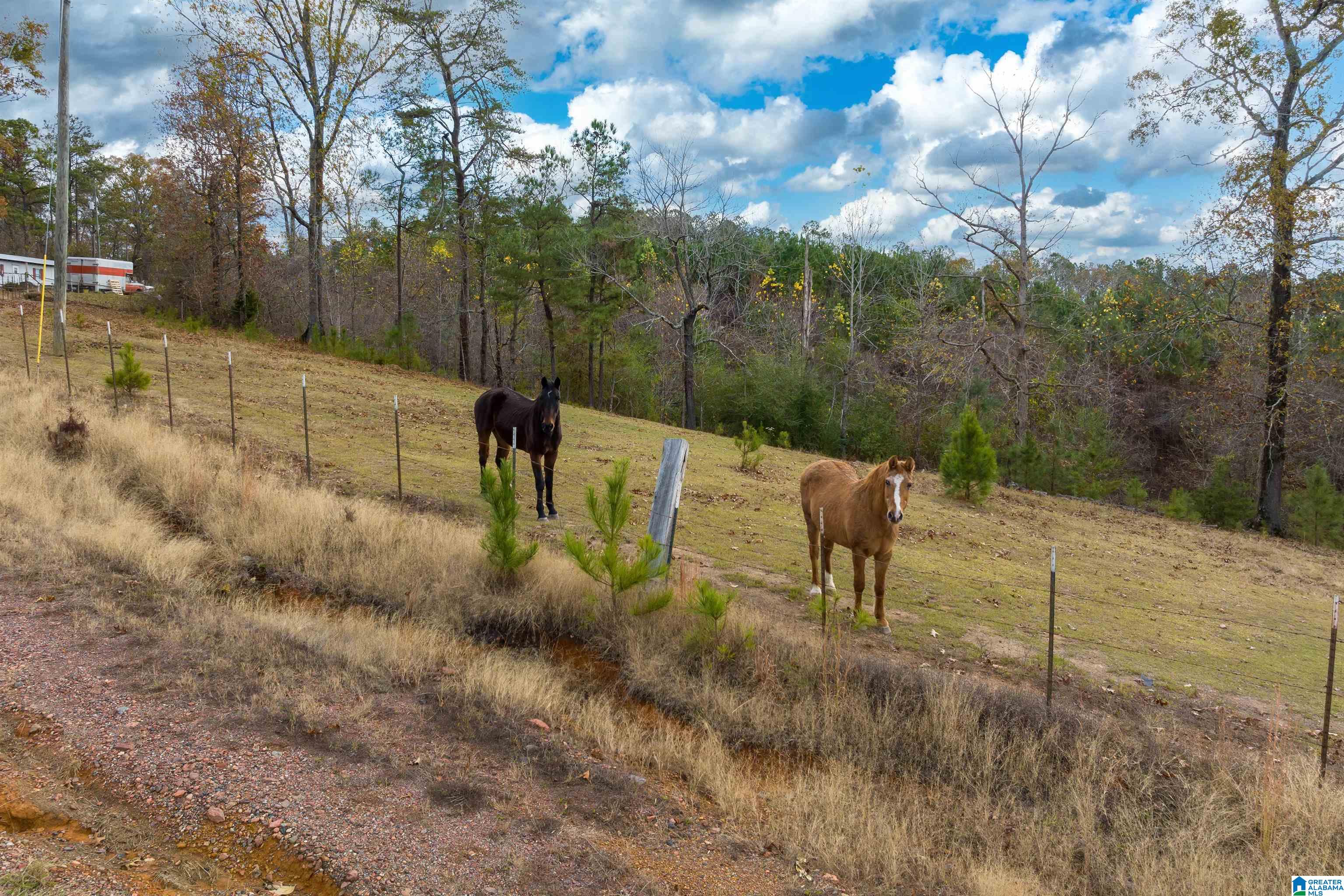 2930 Pridmore Road Quinton, AL 35130 - Photo 34 of 46