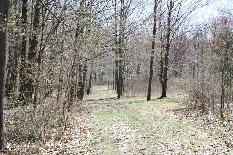 480 Trowbridge Station Road Millerton, PA 16936 - Photo 27 of 77 126390-27